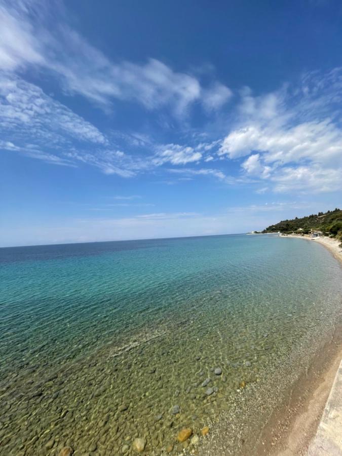 Zoel'S House In Chalkidiki Apartment Агия Параскеви Екстериор снимка